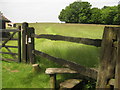 Footpath towards Sutton Hook Wood