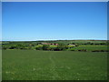 Footpath  over  the  meadows  to  Sneatonthorpe