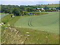 Downland by Stapeley Farm