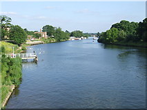 TQ1568 : River Thames at Hampton Court by Malc McDonald