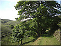 Clough Road bridleway