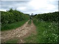 Footpath to Ebrington [7]