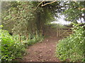 Bridleway and footpath junction near Maxted Street