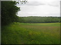 Footpath towards Edards Wood