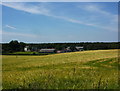 Farmland south of Elkesley