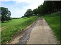 Track near Bristow High Gill