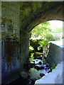 Stream under the Railway Bridge, Jumble Hole Road, Eastwood, Calderdale