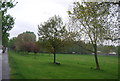 Trees lining Upper Norwood Recreation Ground