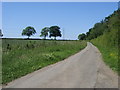 Lane by Leckhampstead Wood