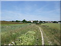 Path to Woodingdean