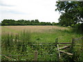 Stile and footpath