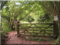 TR1247 : Entrance to Yockletts Banks Nature Reserve on Gogway by David Anstiss