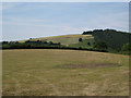 Recently-mown meadow, Lake Cross