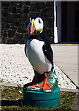 D0951 : Puffin statue, Rathlin Island by Rossographer