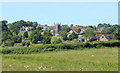 2010 : A flower meadow and Clutton parish church