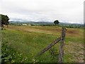 Grange Townland