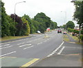 Tree-lined section of Chepstow Road, Newport