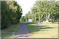 A path located along the Marlborough Way  (2)