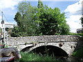 Bridge at Bettws Cedewain