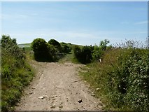 SS4538 : One end of Long Lane where it meets Hannabarrow Lane (left) and Hole Lane (right) by Roger A Smith