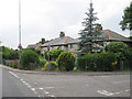 Houses on Island Road