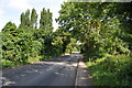 Looking along Sandhurst Road