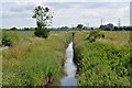 Stream on Sandhurst Road