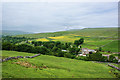 Buttercups on the limestone levels