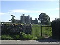 N8559 : Gateway leading to Bective Abbey by John M