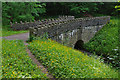 Bridge in Over Hacking Wood