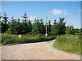 Forestry road at Boduan