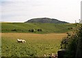 SH3038 : Sheep pastures at Penhyddgan by Eric Jones