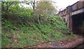 Railway cutting by Gloucester Road Bridge