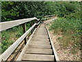 Looking down the steps from the Motte at Mount Bures