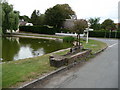 Crawley - Village Pond