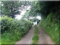 Driveway to Gate Farm