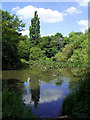 Nuneham Park Lake