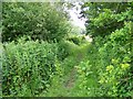 Footpath, Chalbury Common