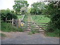 Footpath to the river