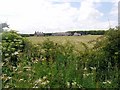 Branxton Moor