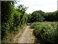 Purewell Meadows, footpath