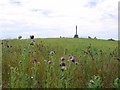 NT8837 : Flodden Monument, Piper's Hill by Andrew Curtis