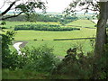 Below the escarpment