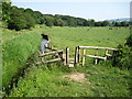 Churnet Way footpath