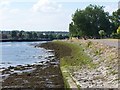 Bank of River Itchen in Bitterne Riverside Park