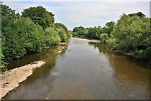 SE2678 : River Ure, West Tanfield by Paul Buckingham