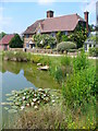 Dunsfold Green Pond