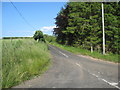 Minor road heading for Reedy Loch