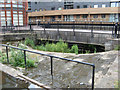 Weir at Potato Wharf