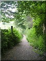 Footpath - Allerton Road